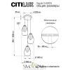 Citilux Garuda CL420033 Подвесной светильник Бронза CITILUX