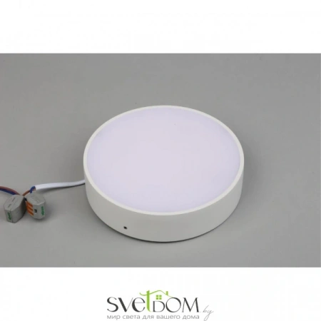 Настенно-потолочные светильники Aployt APL.0113.09.18 от Магазина Svetdom.by