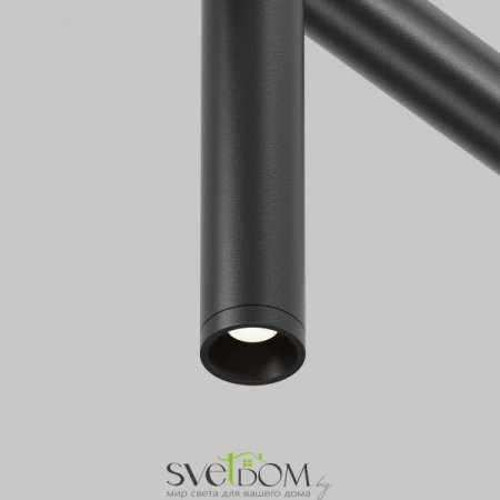 Светильники Maytoni C102CL-3W3-6K-B от Магазина Svetdom.by