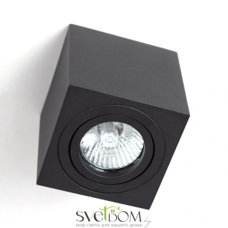 CL538213 CITILUX