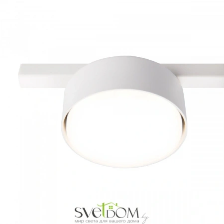 Потолочные светильники Freya FR5363CL-01W от Магазина Svetdom.by