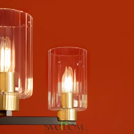 Потолочные светильники Freya FR2051CL-05BBS от Магазина Svetdom.by