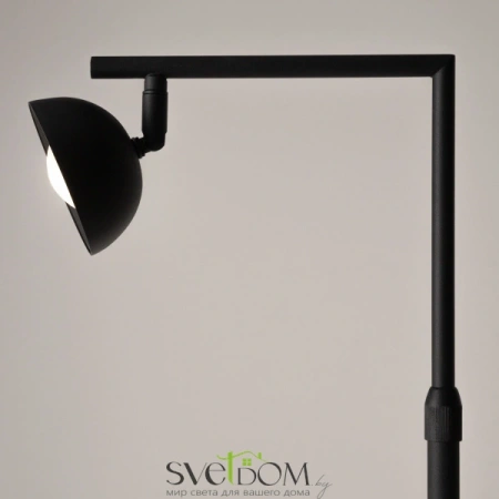Напольный светильник (торшер) Maytoni MOD372FL-L10B3K Maytoni