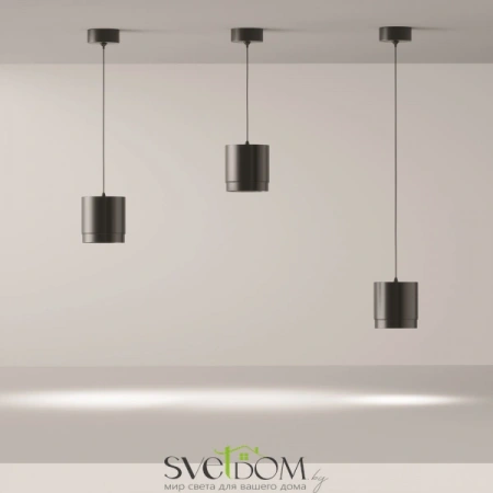 Подвесные светильники Maytoni P088PL-GX53-B от Магазина Svetdom.by