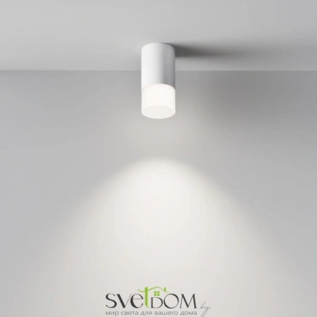 Фото Потолочные светильники Maytoni C007CW-01W Потолочные светильники Maytoni C007CW-01W от Магазина Svetdom.by