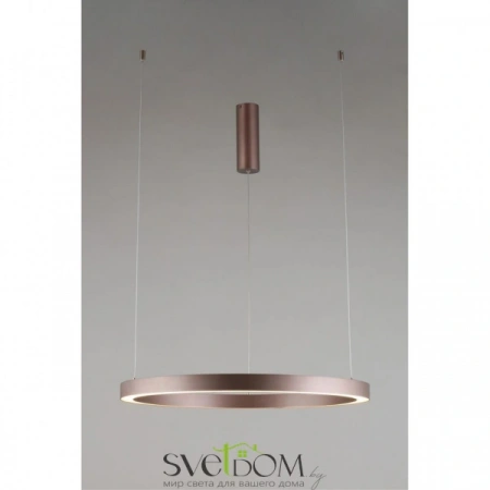 Люстры подвесныеAPL.025.03.48 Aployt | Svetdom.by