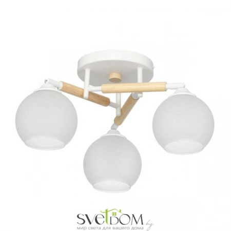 Люстры потолочныеCL133130 CITILUX | Svetdom.by