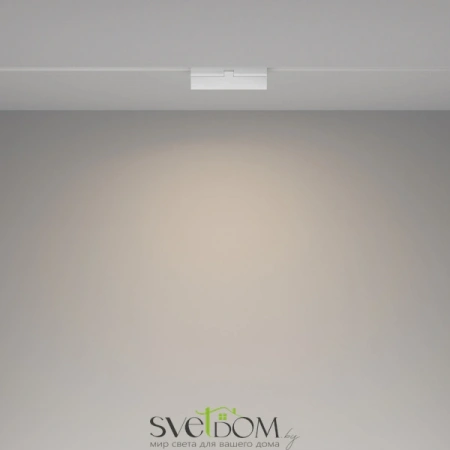 TR036-2-12W4K-W Maytoni