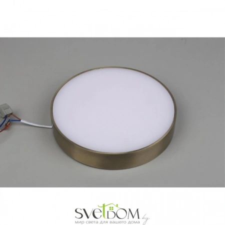 Настенно-потолочные светильники Aployt APL.0114.29.24 от Магазина Svetdom.by