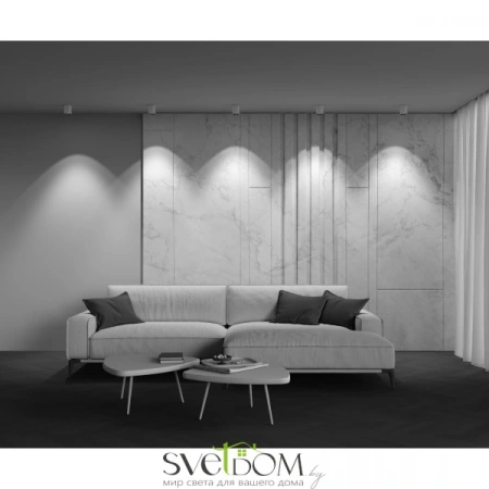 Потолочные светильники Maytoni C064CL-12W3K-RD-WB от Магазина Svetdom.by