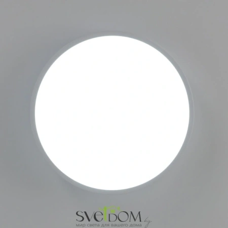 Потолочные светильники CITILUX CL72424V0 от Магазина Svetdom.by