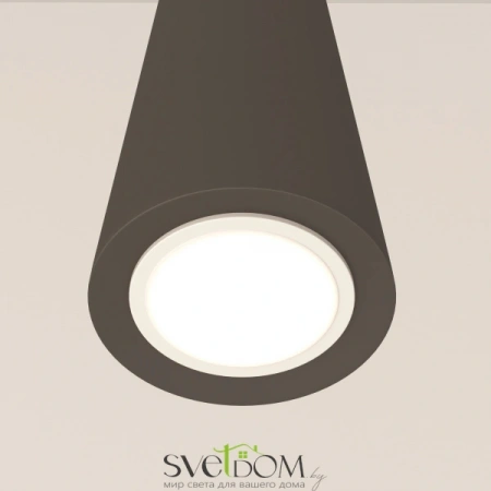 Подвесные светильники Maytoni P318PL-01B от Магазина Svetdom.by