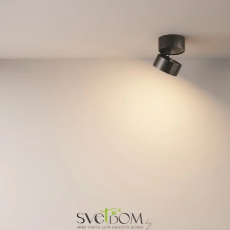 Потолочные светильники Maytoni C024CL-L12B3K от Магазина Svetdom.by