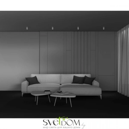 Потолочные светильники Maytoni C001CL-GU10-W от Магазина Svetdom.by