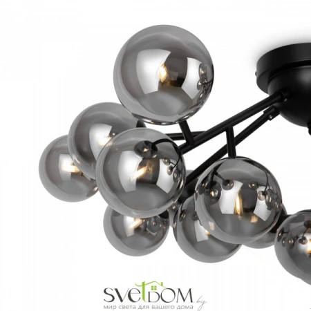 Потолочные светильники Maytoni MOD545CL-20B от Магазина Svetdom.by