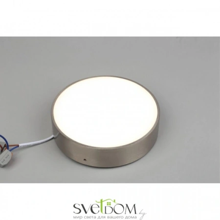 Настенно-потолочные светильники Aployt APL.0114.19.18 от Магазина Svetdom.by