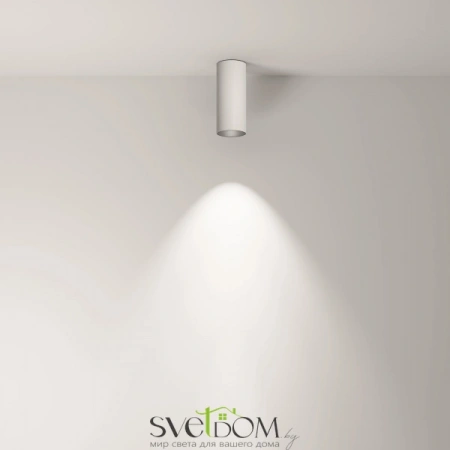 Потолочные светильники Maytoni C056CL-L12W3K-W-W от Магазина Svetdom.by