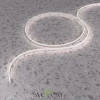 Гибкий неон Maytoni 432038 изгиб поперек оси, 9,6Вт, LED, 4000K, Белый | Svetdom.by