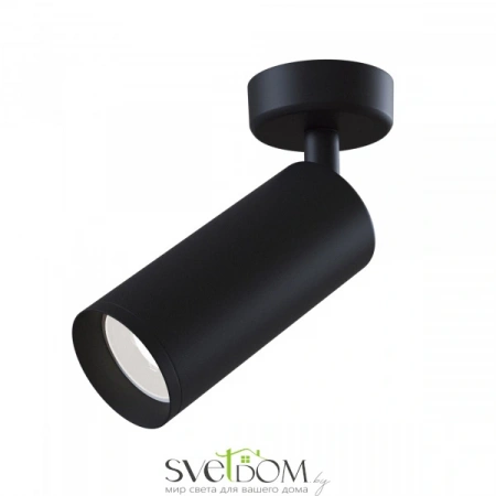 Потолочные светильники Maytoni C017CW-01B от Магазина Svetdom.by