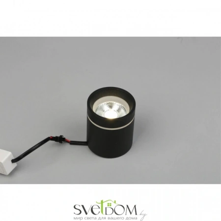 Накладные светильники Aployt APL.0044.19.05 от Магазина Svetdom.by