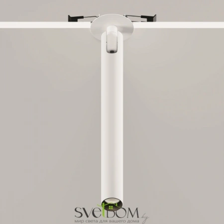 Встраиваемые светильники Maytoni C141RS-L300-6W3K-W от Магазина Svetdom.by