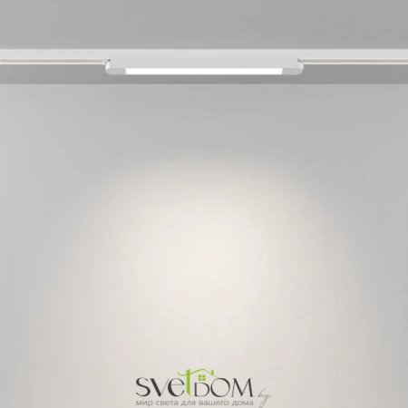 TR000-1-12W4K-W_1 Maytoni