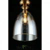 Подвесные светильники Aployt APL.602.06.01 от Магазина Svetdom.by