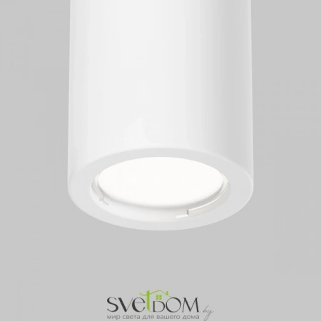 Потолочные светильники Maytoni C001CL-GU10-W от Магазина Svetdom.by