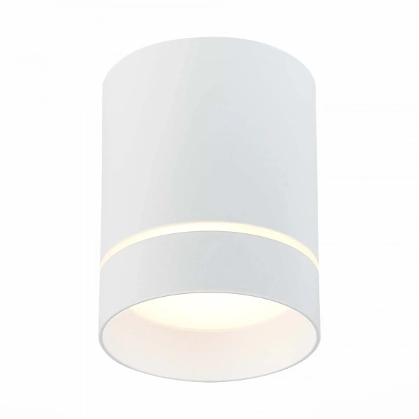 ST115.532.12 Светильник потолочный Белый LED 1*12W 3000K 840Lm Ra>90 120° IP20 D79xH100 170-240V Накладные светильники