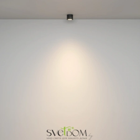 Потолочные светильники Maytoni C095CL-GX53-B от Магазина Svetdom.by