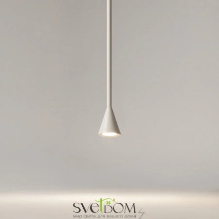 Подвесные светильники Maytoni P064PL-01W-1 от Магазина Svetdom.by