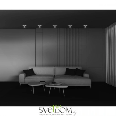 Потолочные светильники Maytoni C092CL-GX53-MG от Магазина Svetdom.by