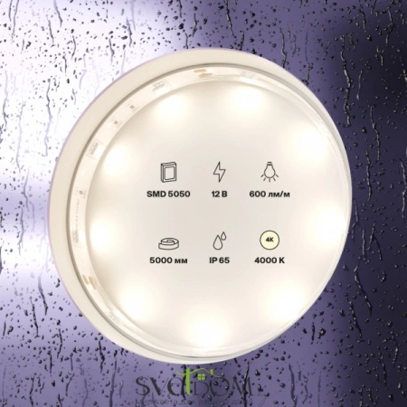 Светодиодная лента 12В 5050 7,2Вт/м  4000K 5м IP65 10124