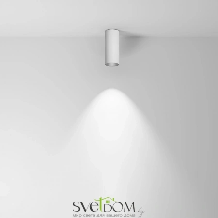 Потолочные светильники Maytoni C056CL-L12W3K-W-W от Магазина Svetdom.by