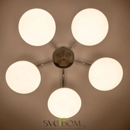 Люстры потолочныеCL716251Wz CITILUX | Svetdom.by