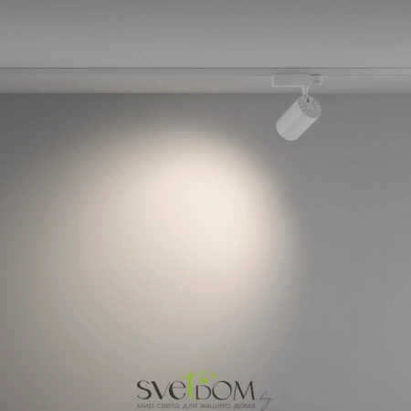 TR029-3-26W4K-W-W Maytoni