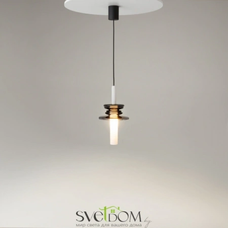 Подвесные светильники Maytoni MOD255PL-01B1 от Магазина Svetdom.by