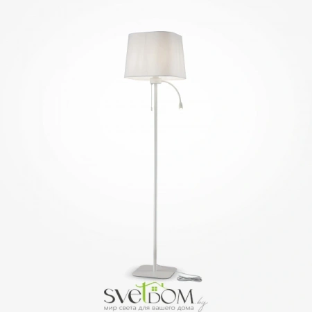 Напольный светильник (торшер) Maytoni Z001FL-L3W-1W Maytoni
