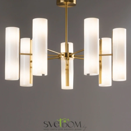 Потолочные светильники Freya FR5368CL-14BS от Магазина Svetdom.by