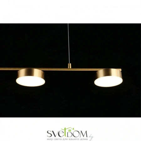 Люстры подвесныеAPL.047.13.35 Aployt | Svetdom.by
