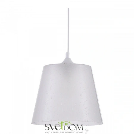 Фото Светильники Maytoni P528PL-01W Светильники Maytoni P528PL-01W от Магазина Svetdom.by