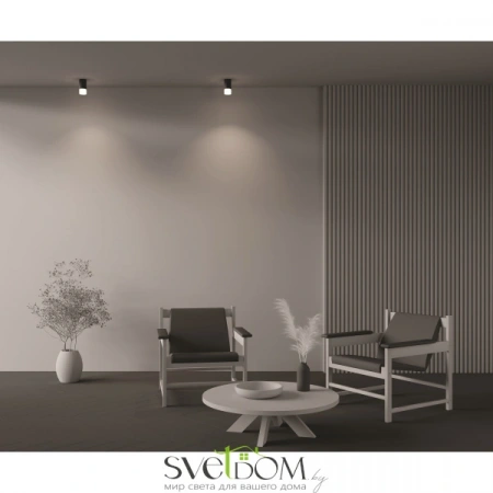 Потолочные светильники Maytoni C007CW-01B от Магазина Svetdom.by