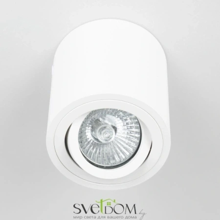 Citilux Дюрен CL538111 Светильник накладной поворотный Белый CITILUX