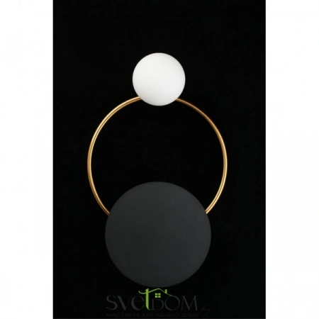 Настенные светильники APL.306.01.02 Aployt | Svetdom.by