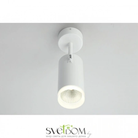 Настенно-потолочные светильники Omnilux OML-102609-20 от Магазина Svetdom.by