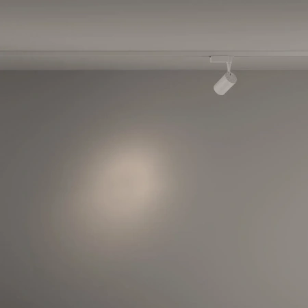 TR003-1-6W4K-S-W Maytoni