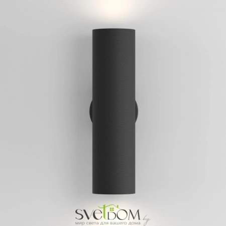 Настенные светильники C080WL-02-GU10-B Maytoni | Svetdom.by