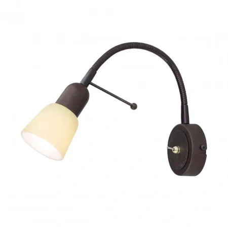 CL506314 CITILUX