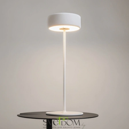 MOD229TL-L3W3K2 Maytoni