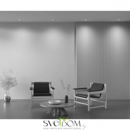 Встраиваемые светильники Maytoni DL024-2-01W от Магазина Svetdom.by